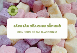 Cách Làm Sữa Chua Sấy Khô - Giòn Ngon, Dễ Bảo Quản Tại Nhà