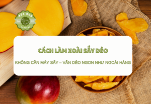 Cách Làm Xoài Sấy Dẻo Không Cần Máy Sấy – Vẫn Dẻo Ngon Như Ngoài Hàng