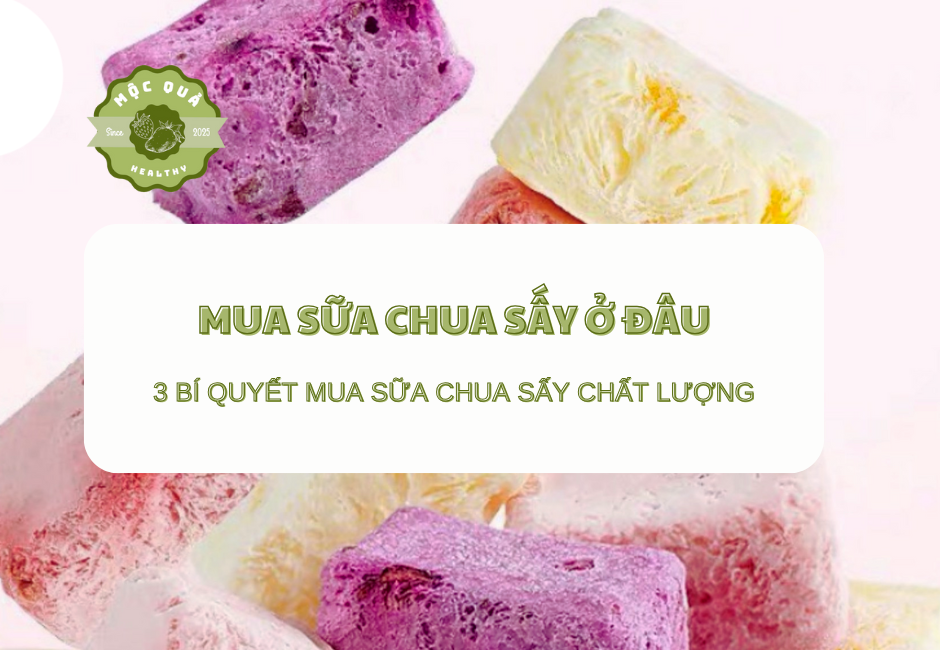 Mua Sữa Chua Sấy Ở Đâu?