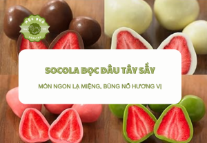 Socola Bọc Dâu Tây Sấy - Món Ngon Lạ Miệng, Bùng Nổ Hương Vị