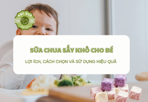 Sữa chua sấy khô cho bé Lợi Ích, Cách Chọn Và Sử Dụng Hiệu Quả