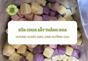 Sữa Chua Sấy Thăng Hoa - Hương Vị Độc Đáo, Dinh Dưỡng Cao