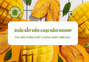 Xoài Sấy Dẻo Loại Nào Ngon Top Sản Phẩm Chất Lượng Nhất Hiện Nay