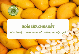 Xoài Sữa Chua Sấy - Món Ăn Vặt Thơm Ngon Bổ Dưỡng Từ Mộc Quả