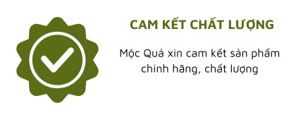 cam kết chất lượng