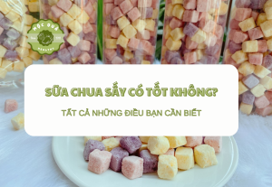 Sữa Chua Sấy Có Tốt Không? Tất Cả Những Điều Bạn Cần Biết