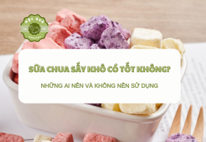 Sữa Chua Sấy Khô Có Tốt Không? Những Ai Nên và Không Nên Sử Dụng