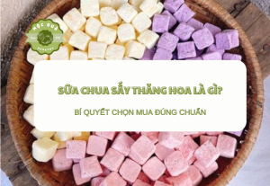 Sữa Chua Sấy Thăng Hoa Là Gì? Bí Quyết Chọn Mua Đúng Chuẩn